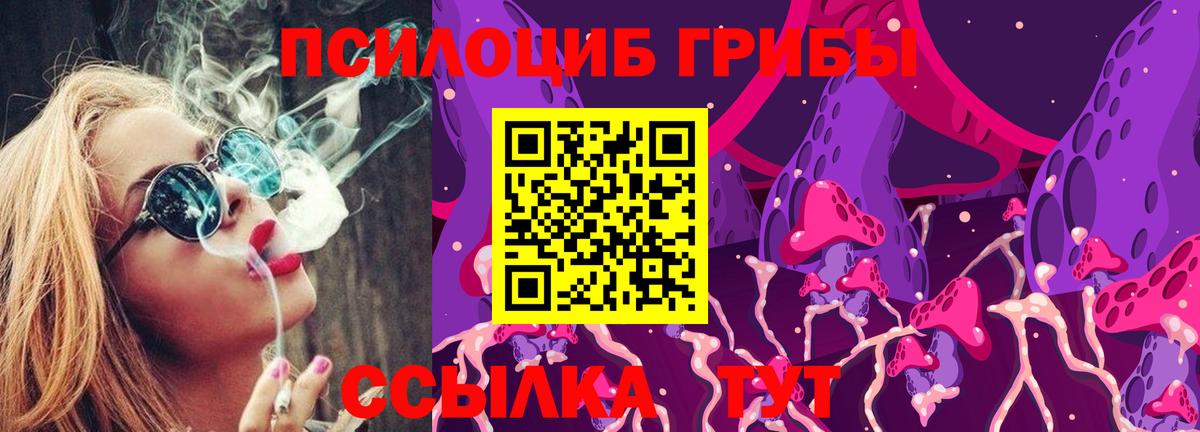 Галлюциногенные грибы прущие грибы  Вход с VPN  Тулун 